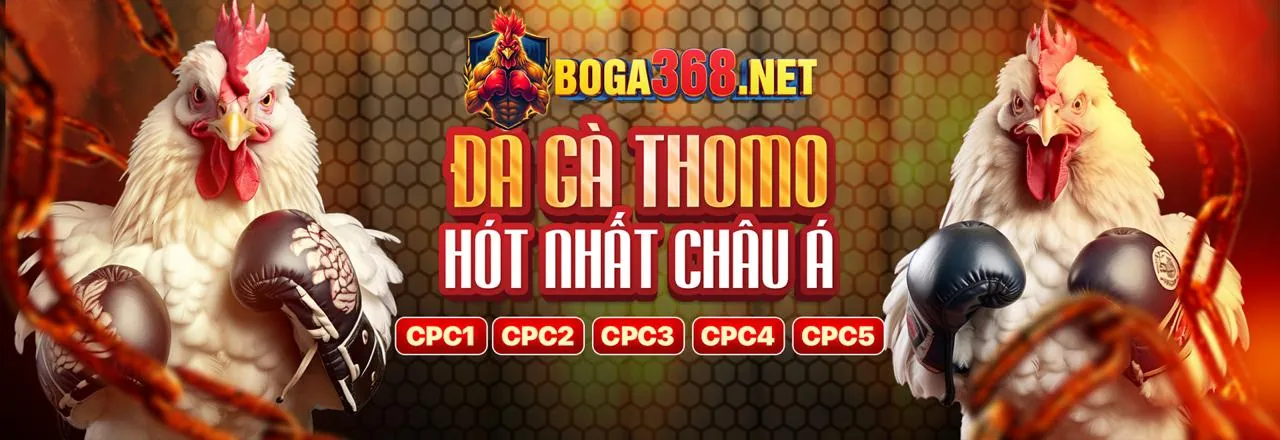 Đá Gà Trực Tuyến Hấp Dẫn tại 3win bet
