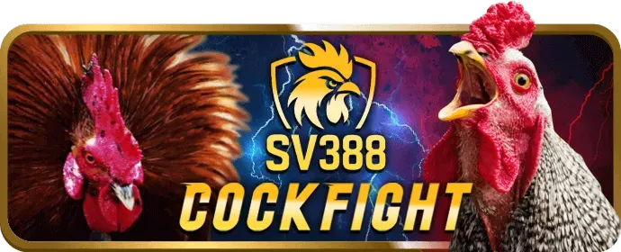 Quản lý chuyên trách
